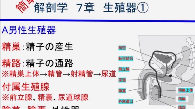 奥莱：帕雷德斯右腿超负荷引发担忧，阿根廷将安排医学检查
