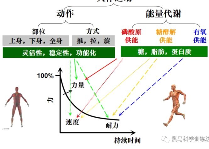 吕梦洋体能差能否成职业球员？